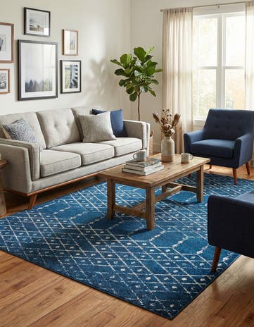6' x 9' Paxon Trellis Rug