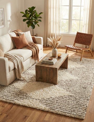 8' x 10' Infinity Shag Rug