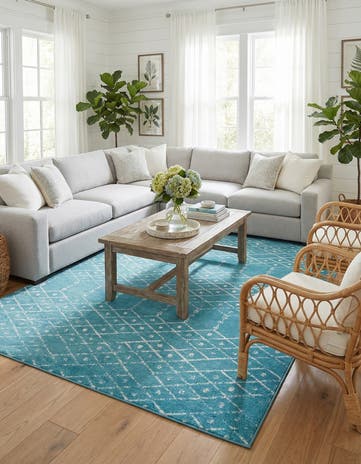 9' x 12' Paxon Trellis Rug