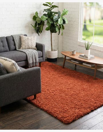 5' 3 x 8' Solid Shag Rug