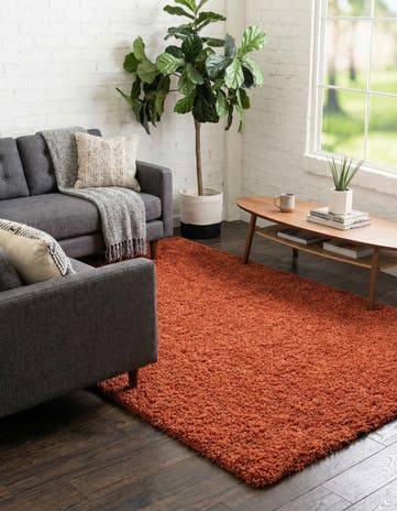 5' 3 x 8' Solid Shag Rug