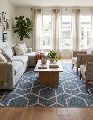10' x 13' Eco Trellis Rug