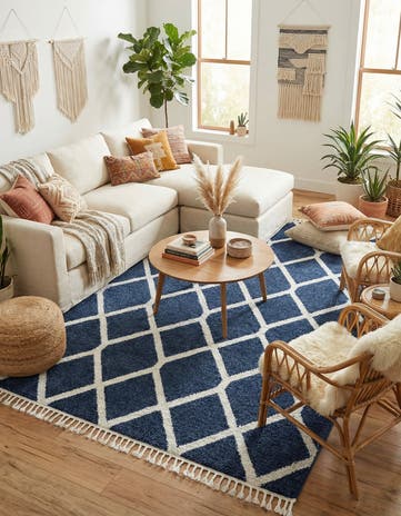 9' 6 x 14' 3 Boho Rug
