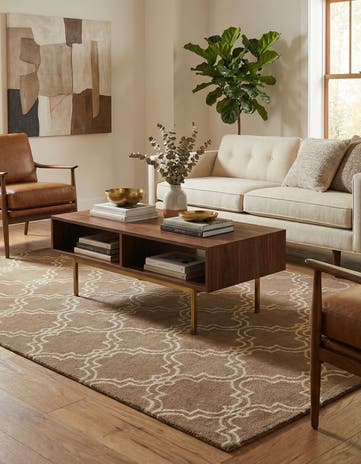 5' x 7' 11 Luna Rug