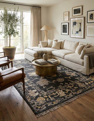 8' 8 x 12' 4 Hand Knotted Darya Wool Rug