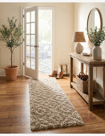 2' x 7' Trellis Shag Runner Rug