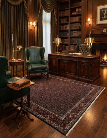8' 2 x 11' 3 Bidjar Wool Rug