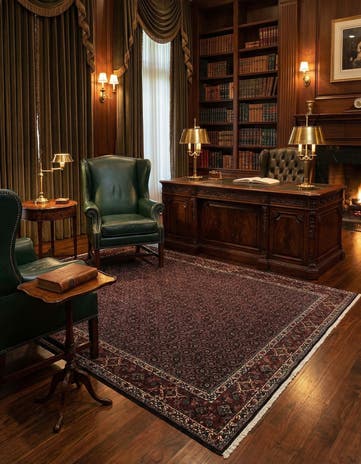 8' 2 x 11' 3 Bidjar Wool Rug