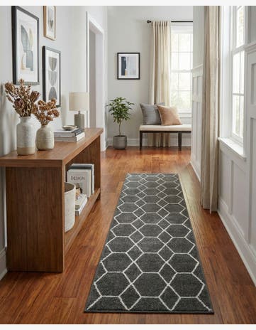 2' x 9' Trellis Frieze Runner Rug