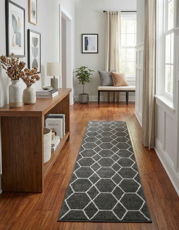 2' x 9' Lattice Frieze Runner Rug
