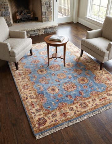 4' x 6' 1 Hand Knotted Ariana Ziegler Rug