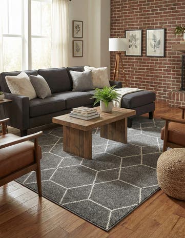9' x 12' Lattice Frieze Rug