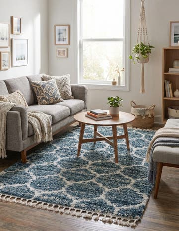 4' x 6' Athena Shag Rug