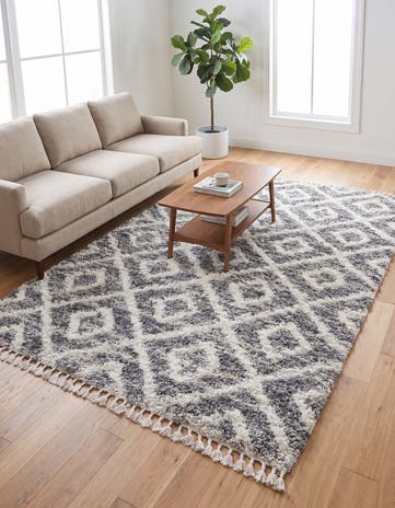 8' x 10' Athena Shag Rug