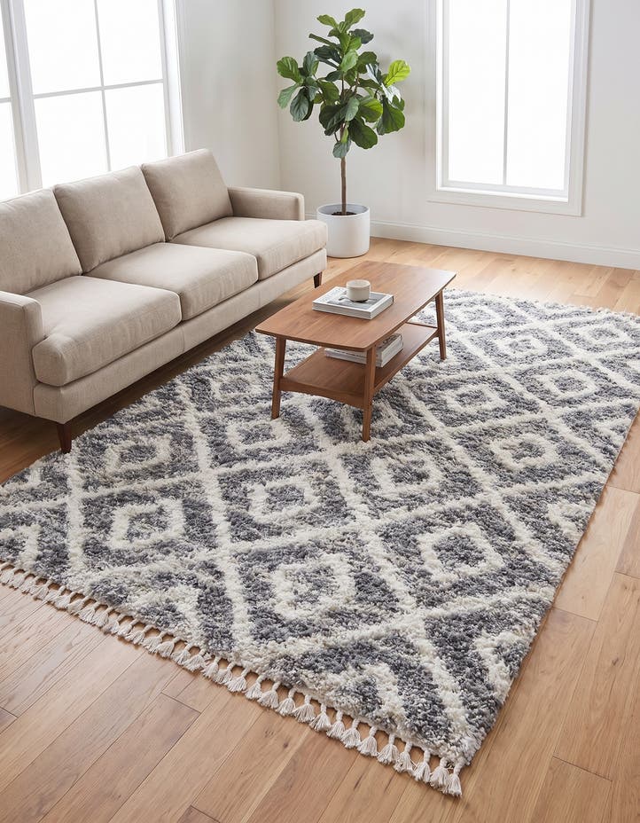 8' x 10' Athena Shag Rug