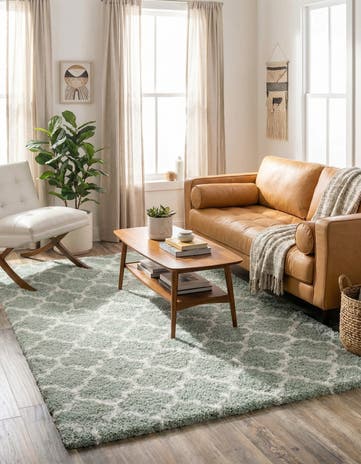 5' 3 x 8' Moroccan Shag Rug