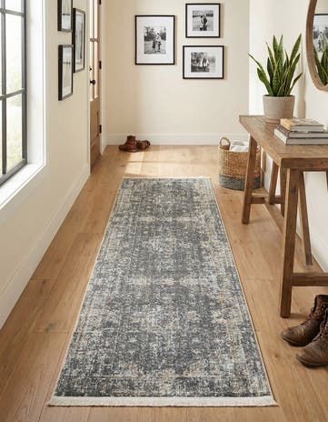 2' 7 x 10' Santiago Runner Rug