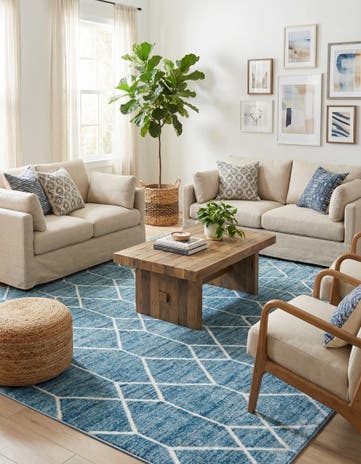 9' 10 x 14' Lattice Trellis Rug