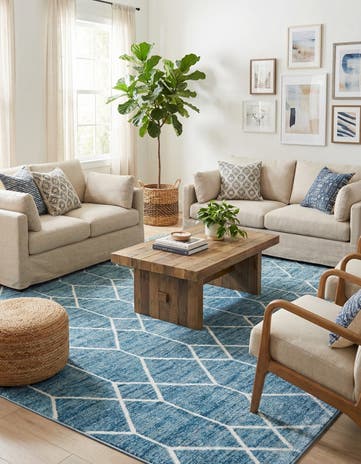9' 10 x 14' Lattice Trellis Rug