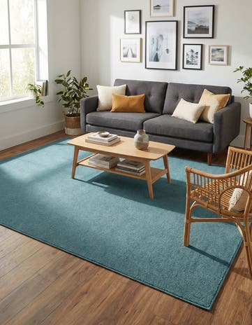 Aquamarine Blue Everyday Solid Rug