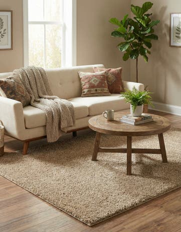 4' x 6' Soft Solid Shag Rug