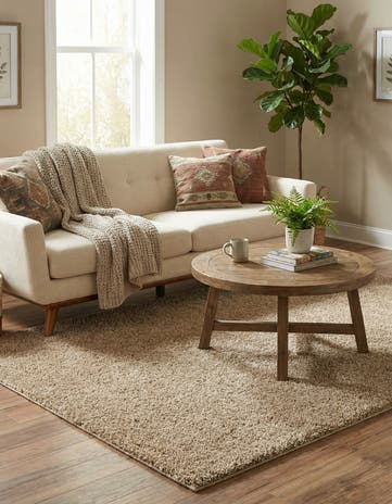 4' x 6' Soft Solid Shag Rug