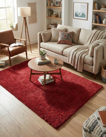 4' x 6' Solid Shag Rug