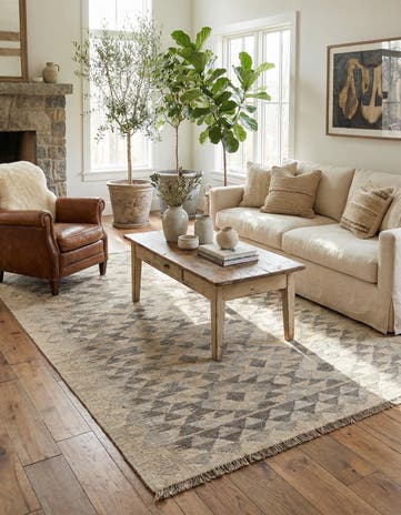 3' 10 x 6' Hand Woven Kilim Maymana Wool Rug