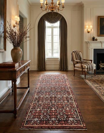 3' 5 x 9' 1 Hamedan Rug