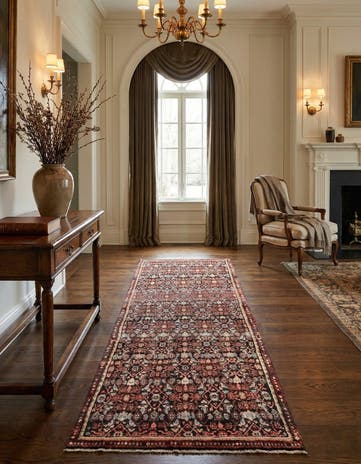 3' 5 x 9' 1 Hamedan Rug