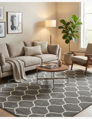 7' 10 x 11' Trellis Frieze Rug