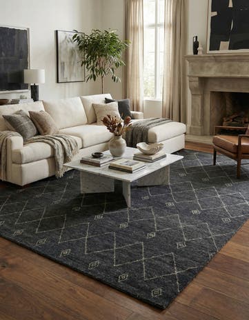 9' 5 x 13' 9 Hand Knotted Darya Wool Rug