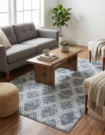 4' x 6' Kamala Washable Rug