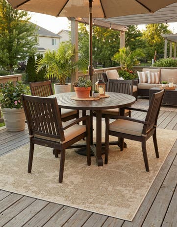 Beige Easy-Clean Traditional Indoor / Outdoor Rug