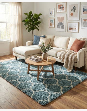 6' x 9' Trellis Shag Rug