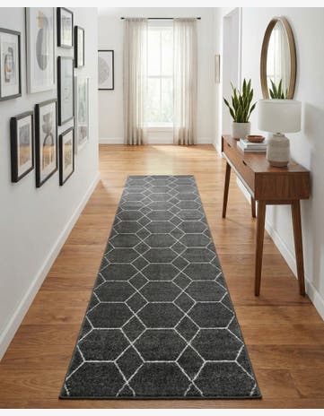 3' 3 x 19' 8 Trellis Frieze Runner Rug