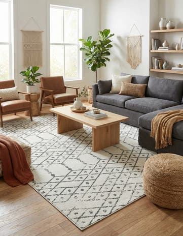 10' x 13' Paxon Trellis Rug