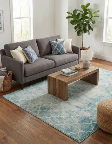 Jill Zarin 5' 3 x 8' Uptown Lincoln Center Rug