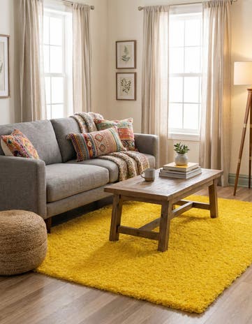 4' x 6' Solid Shag Rug
