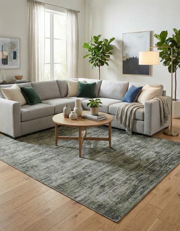 7' 6 x 10' 6 Asha Rug