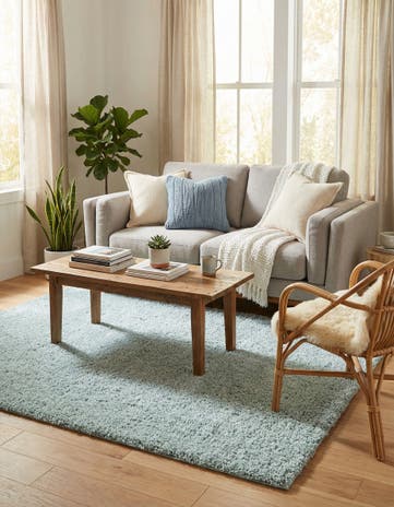 4' x 6' Soft Solid Shag Rug