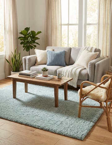4' x 6' Soft Solid Shag Rug