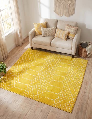 5' 3 x 5' 3 Paxon Trellis Square Rug