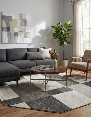 Gray Equinox Octagon Rug