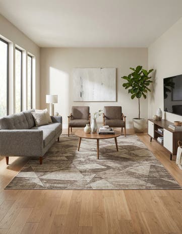9' x 12' Silta Rug