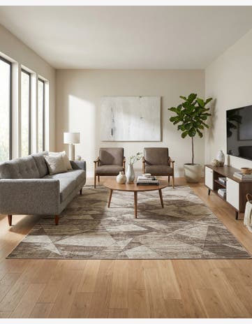 9' x 12' Silta Rug