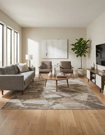 9' x 12' Silta Rug