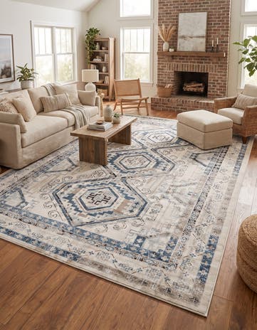 10' x 14' Charlotte Rug