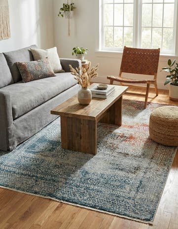 4' 3 x 6' Santiago Rug
