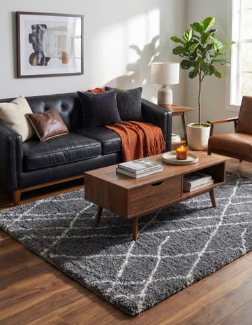 Pebble Gray Soft Touch Shag Rug